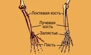 az ujjak ízületei megsérülnek a rakománytól)