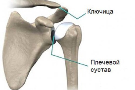teraflex a vállízület artrózisában