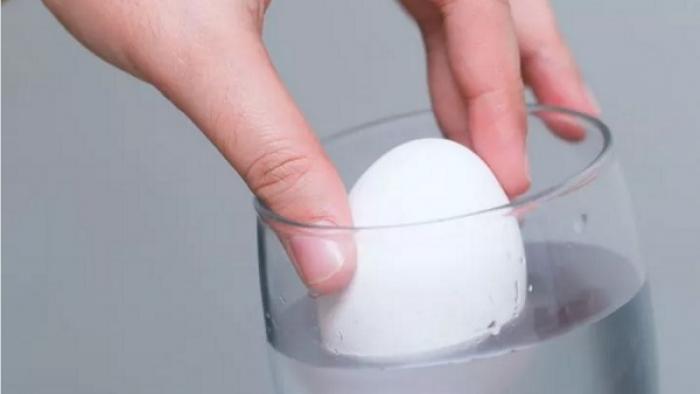 How to check eggs for freshness