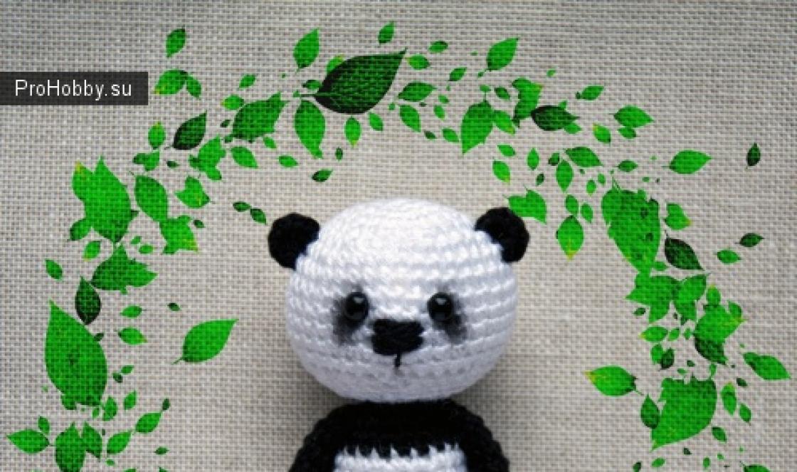 Meisterkurs über gestrickten Panda