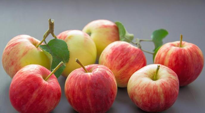 Cuka sari apel untuk rambut: cara menggunakannya dengan benar Resep bilas rambut cuka sari apel