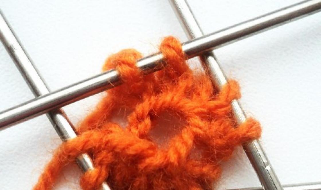 Vzor pletení oblečení pro psy