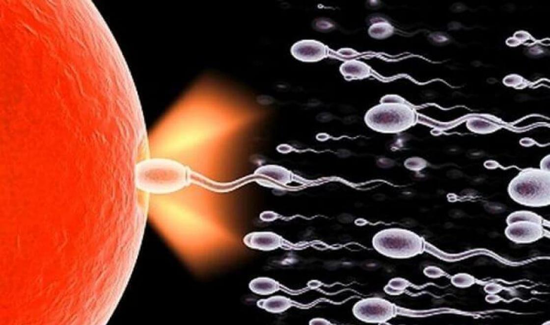 Complications after artificial insemination