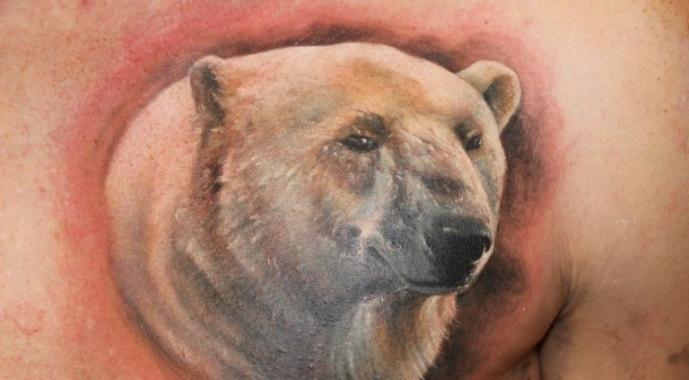 Bear tattoo - meaning and photo